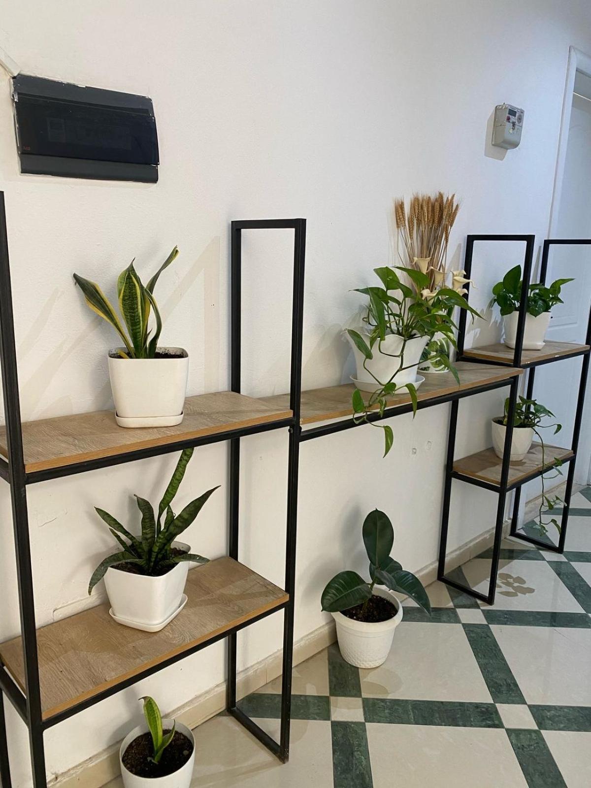 דורס Rai Rooms מראה חיצוני תמונה